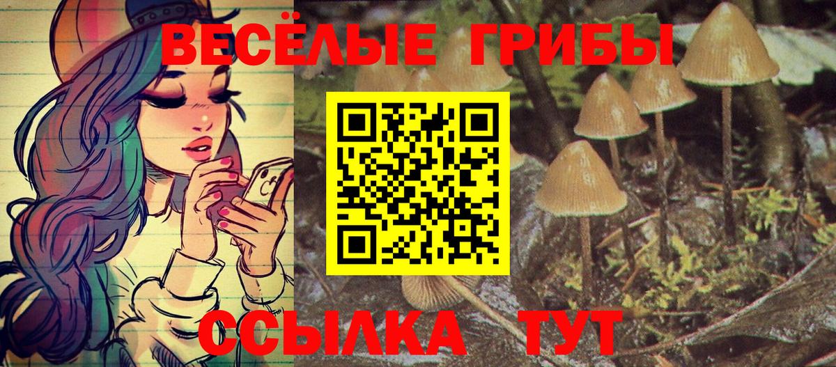 Псилоцибиновые грибы мицелий  Вход с VPN  Артём 